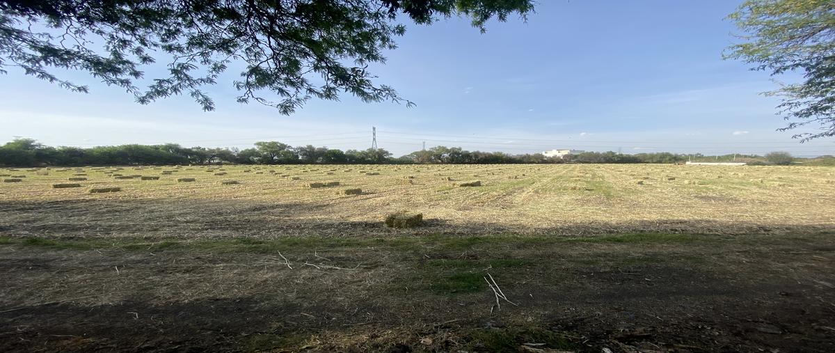 Foto de terreno comercial en boulevard juan pablo ll , primera fracción de crespo (el molino), celaya, guanajuato, 29750493 foto 04 Foto de terreno comercial en venta en boulevard juan pablo ll , primera fracción de crespo (el molino), celaya, guanajuato, 29750493 No. 04
