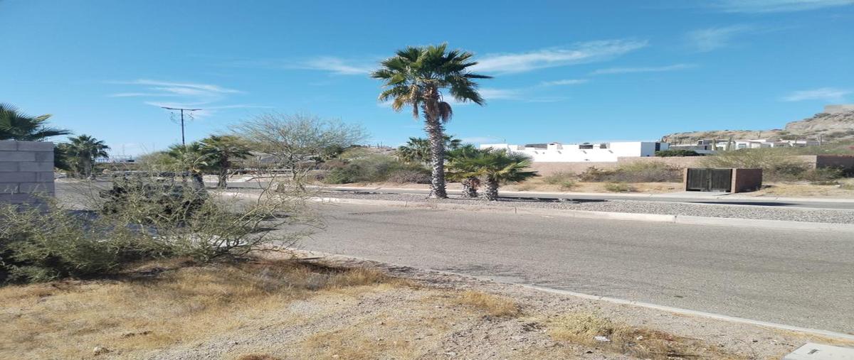 Foto de terreno habitacional en boulevard kino bay estates , kino bay estates, hermosillo, sonora, 28175065 foto 05 Foto de terreno habitacional en venta en boulevard kino bay estates , kino bay estates, hermosillo, sonora, 28175065 No. 05