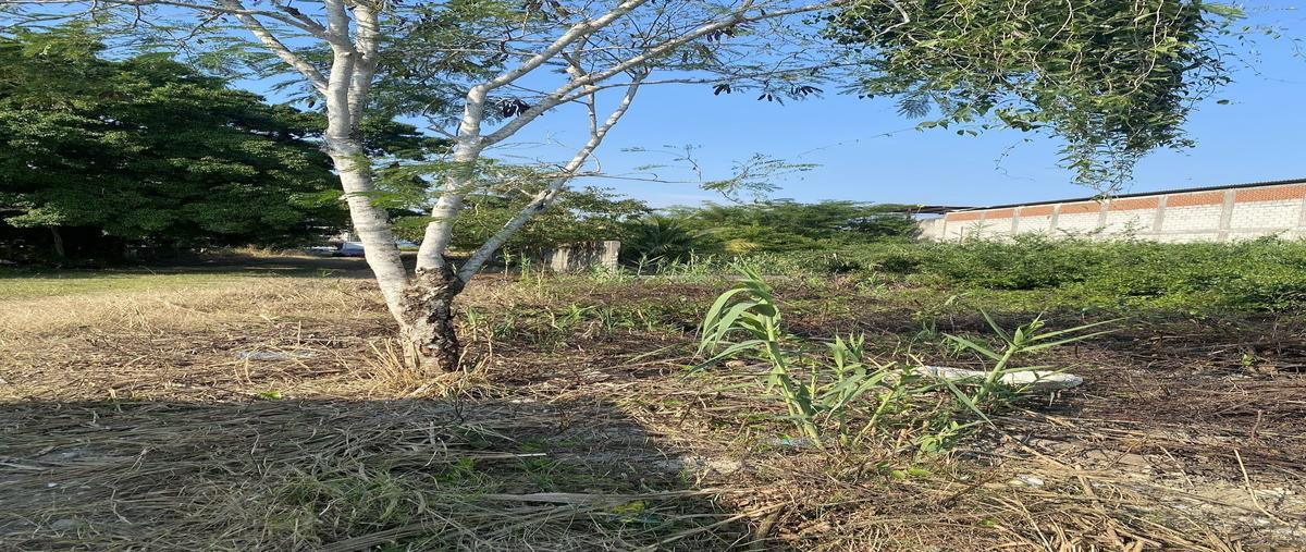 Foto de terreno habitacional en renta en boulevard la calzada , la calzada, tuxpan, veracruz de ignacio de la llave, 29345484 No. 03