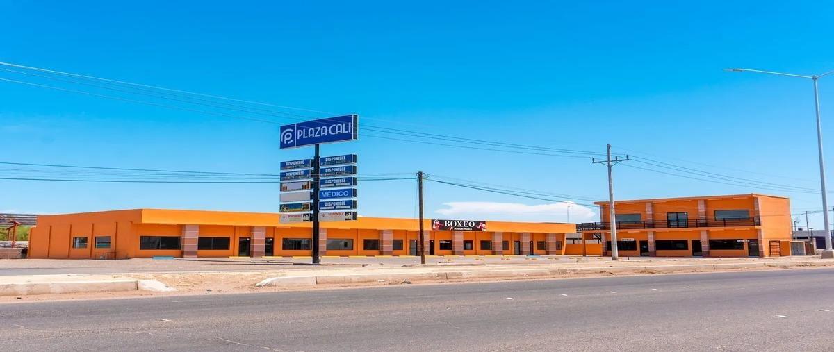 Foto de local en boulevard lázaro cárdenas , huertas de la progreso, mexicali, baja california, 30514488 foto 05 Foto de local en renta en boulevard lázaro cárdenas , huertas de la progreso, mexicali, baja california, 30514488 No. 05