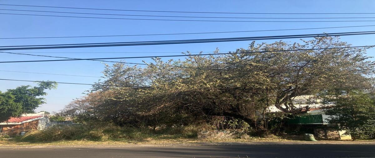 Foto de terreno habitacional en boulevard , lomas de cocoyoc, atlatlahucan, morelos, 0 foto 04 Foto de terreno habitacional en venta en boulevard , lomas de cocoyoc, atlatlahucan, morelos, 0 No. 04
