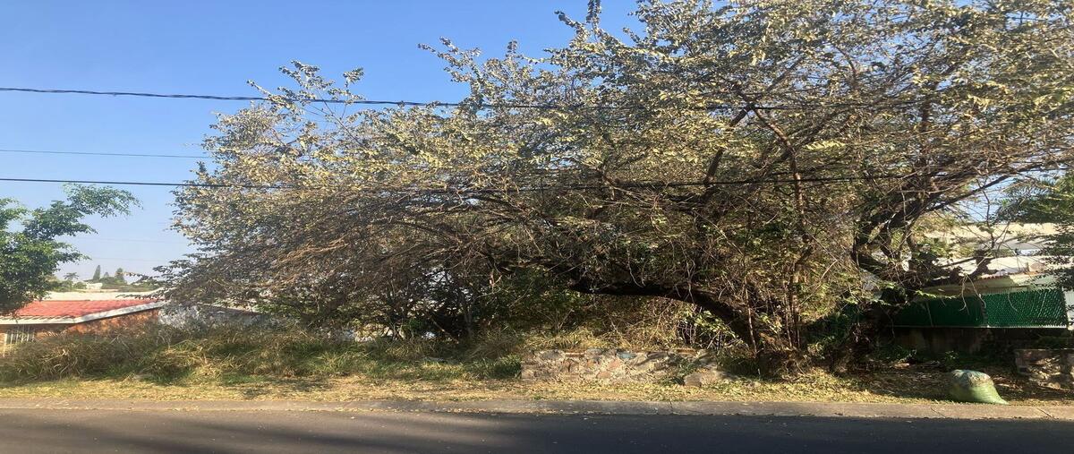 Foto de terreno habitacional en boulevard , lomas de cocoyoc, atlatlahucan, morelos, 0 foto 05 Foto de terreno habitacional en venta en boulevard , lomas de cocoyoc, atlatlahucan, morelos, 0 No. 05