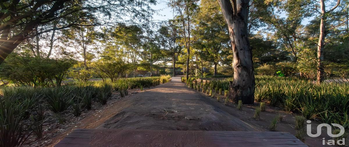 Foto de terreno habitacional en venta en boulevard metropolitano 119, arroyo hondo, corregidora, querÃ©taro, 31614183 No. 04