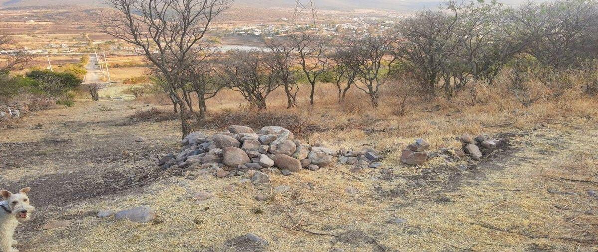 Foto de terreno habitacional en venta en boulevard metropolitano corregidora-huimilpan , el vegil, huimilpan, querétaro, 0 No. 03