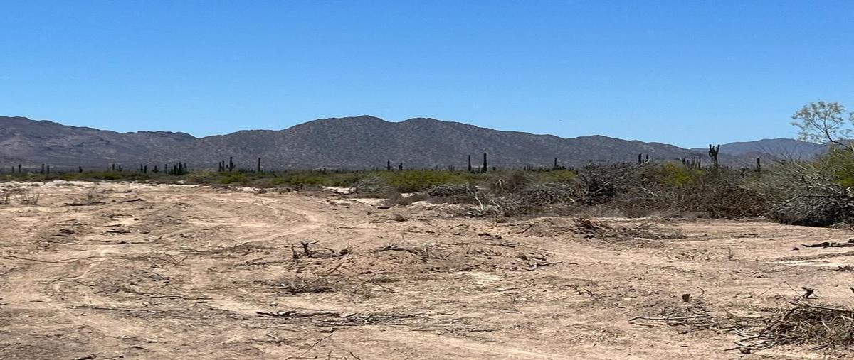 Foto de terreno habitacional en boulevard oceano pacifico , bahía de kino centro, hermosillo, sonora, 0 foto 02 Foto de terreno habitacional en venta en boulevard oceano pacifico , bahía de kino centro, hermosillo, sonora, 0 No. 02