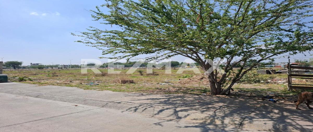 Foto de terreno comercial en venta en boulevard paseo del valle , paseos del valle, tlajomulco de zúñiga, jalisco, 0 No. 04