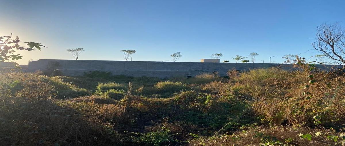 Foto de terreno habitacional en venta en boulevard pedro infante 4370, rincón las palmas, culiacán, sinaloa, 0 No. 03