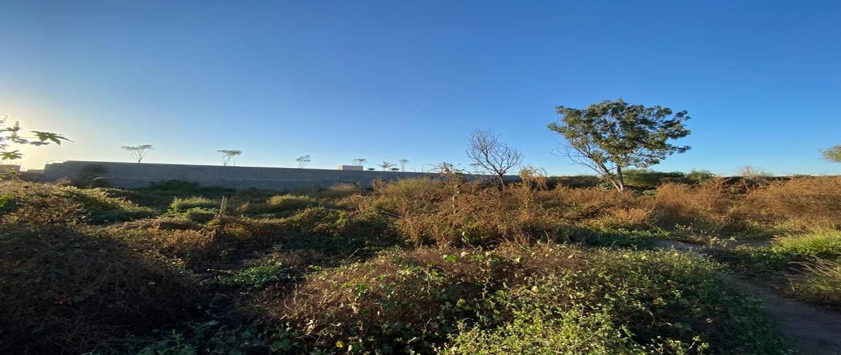 Foto de terreno habitacional en venta en boulevard pedro infante 4370, rincón las palmas, culiacán, sinaloa, 0 No. 04