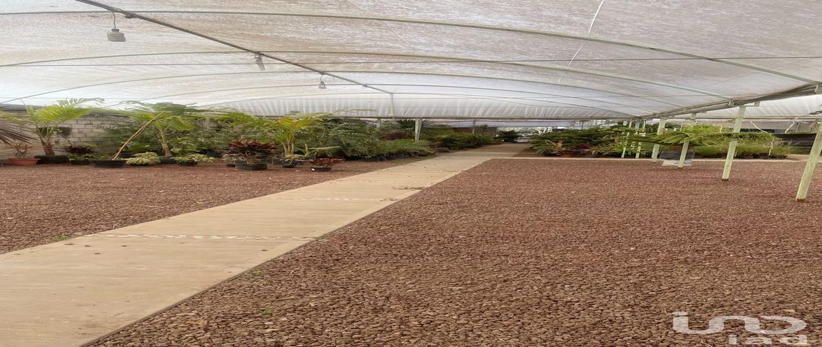 Foto de terreno comercial en boulevard rio de las avenidas , industrial la paz, pachuca de soto, hidalgo, 0 foto 05 Foto de terreno comercial en renta en boulevard rio de las avenidas , industrial la paz, pachuca de soto, hidalgo, 0 No. 05