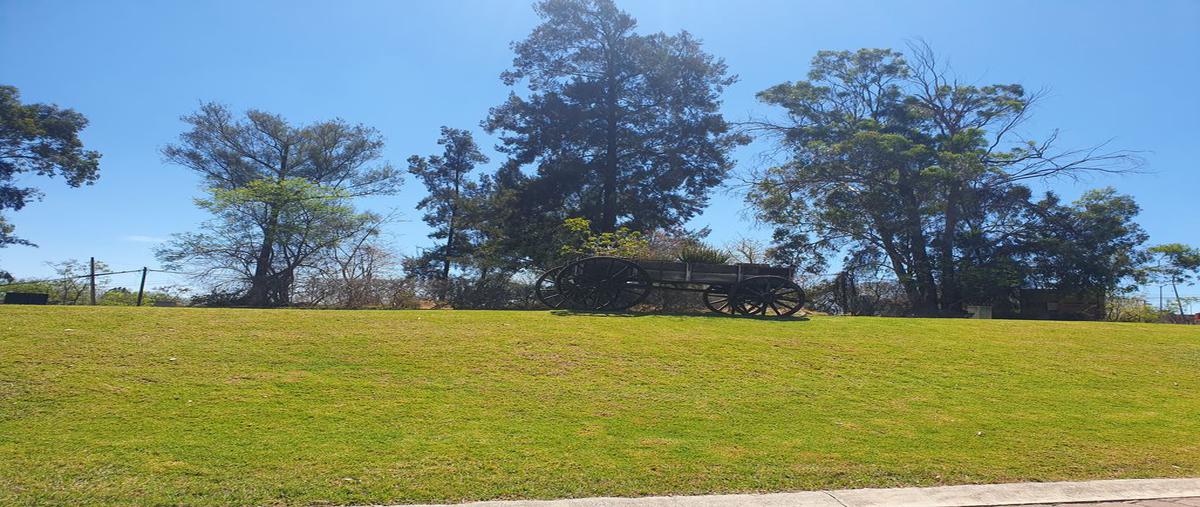 Foto de terreno habitacional en venta en boulevard san diego 38, rancho san diego, ixtapan de la sal, méxico, 0 No. 03