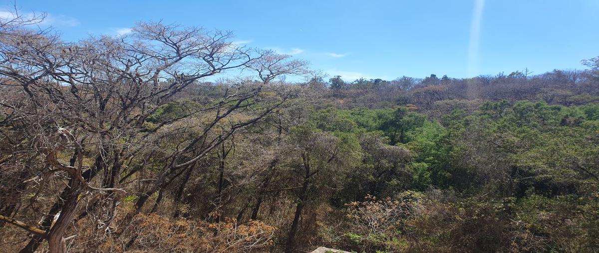 Foto de terreno habitacional en venta en boulevard san diego 38, rancho san diego, ixtapan de la sal, méxico, 0 No. 04