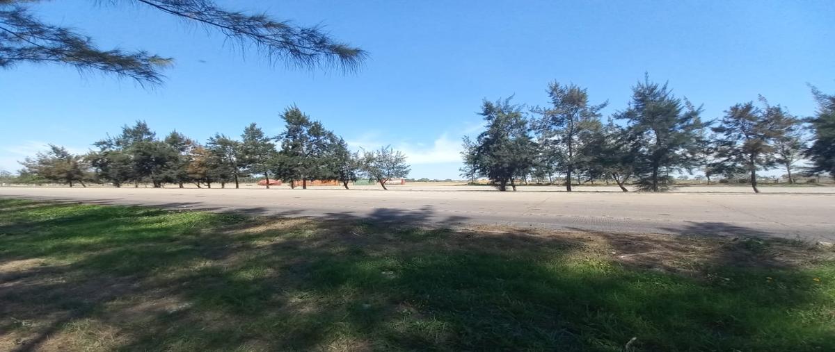 Foto de terreno industrial en renta en boulevard torre cantu , ejido ricardo flores magón, altamira, tamaulipas, 28174321 No. 05