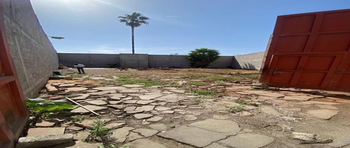 Foto de local en renta en boulevard universitario , río verde centro, rioverde, san luis potosí, 30284940 No. 04