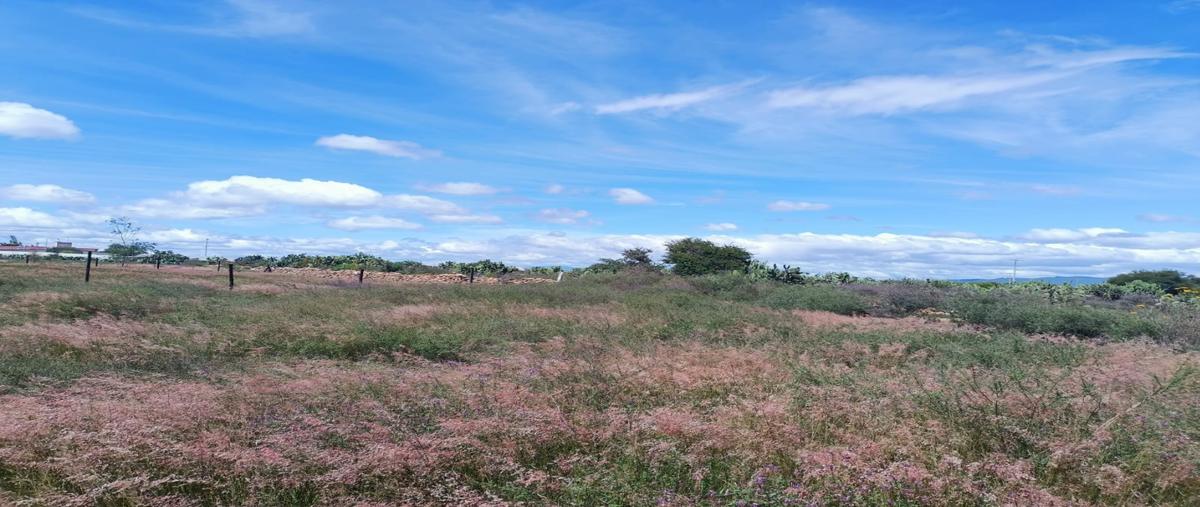 Foto de terreno habitacional en venta en  , boye, huichapan, hidalgo, 25495317 No. 03