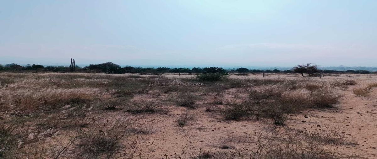 Foto de terreno habitacional en venta en  , boye, huichapan, hidalgo, 25495317 No. 05