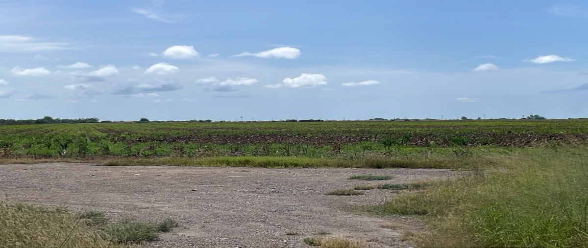 Foto de rancho en venta en brecha 124 y 125 , anáhuac, valle hermoso, tamaulipas, 0 No. 04