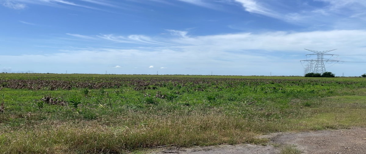 Foto de rancho en venta en brecha 124 y 125 , anáhuac, valle hermoso, tamaulipas, 0 No. 05