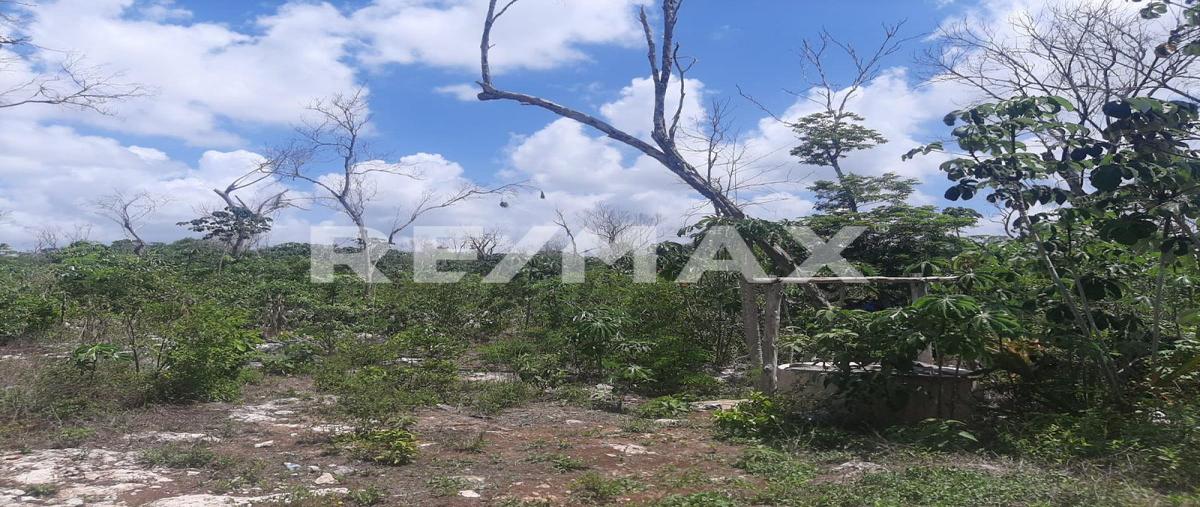 Foto de terreno habitacional en brecha , francisco uh-may, tulum, quintana roo, 0 foto 02 Foto de terreno habitacional en venta en brecha , francisco uh-may, tulum, quintana roo, 0 No. 02