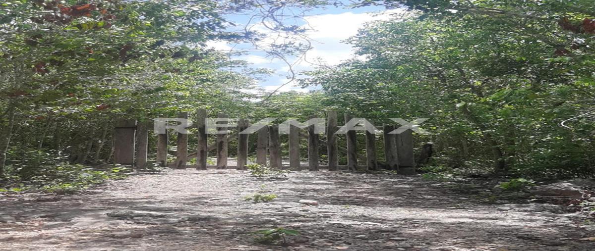 Foto de terreno habitacional en brecha , francisco uh-may, tulum, quintana roo, 0 foto 03 Foto de terreno habitacional en venta en brecha , francisco uh-may, tulum, quintana roo, 0 No. 03