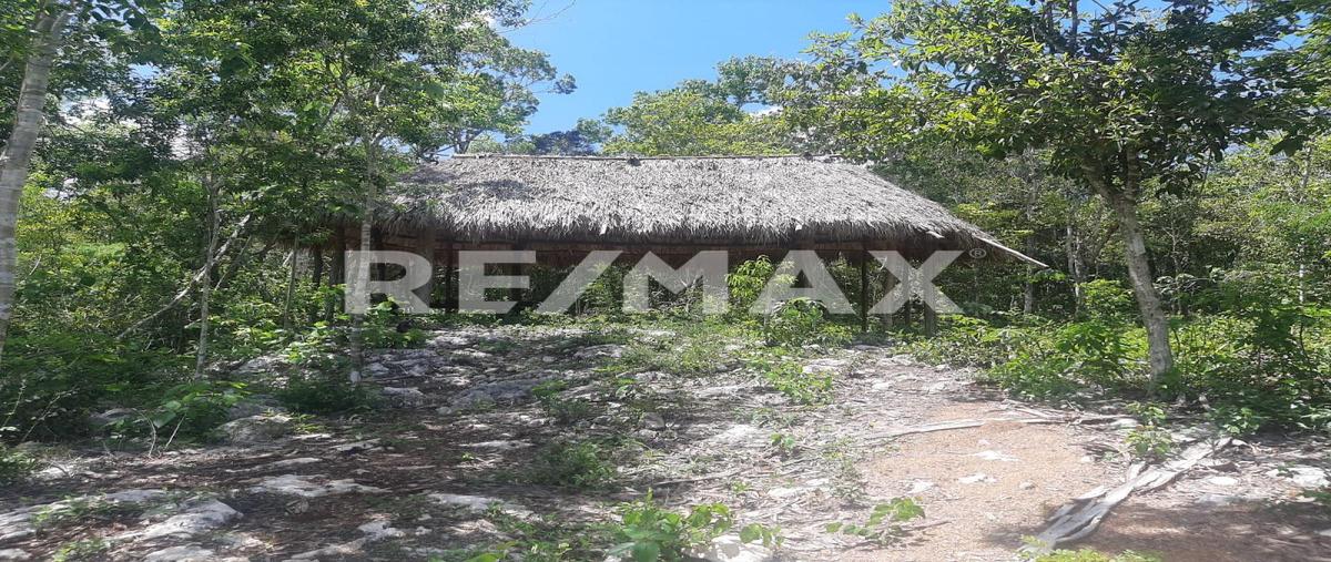 Foto de terreno habitacional en brecha , francisco uh-may, tulum, quintana roo, 0 foto 05 Foto de terreno habitacional en venta en brecha , francisco uh-may, tulum, quintana roo, 0 No. 05