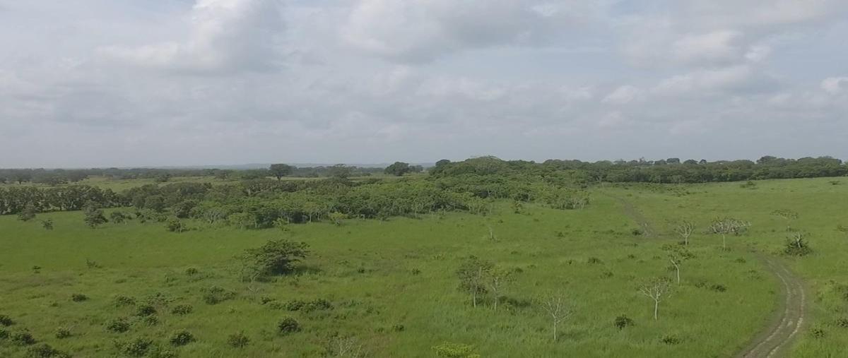 Foto de rancho en venta en brecha huasteca , la laja, ozuluama de mascareñas, veracruz de ignacio de la llave, 0 No. 04