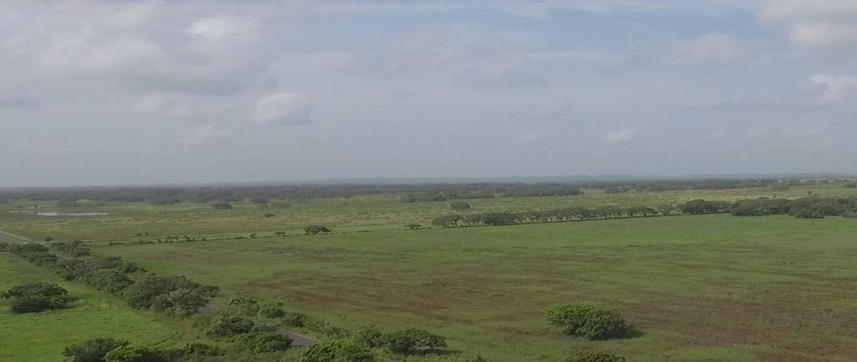 Foto de rancho en venta en brecha huasteca , la laja, ozuluama de mascareñas, veracruz de ignacio de la llave, 0 No. 05