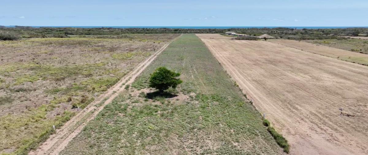 Foto de terreno habitacional en venta en brecha huasteca , la rivera, tampico alto, veracruz de ignacio de la llave, 29752823 No. 04