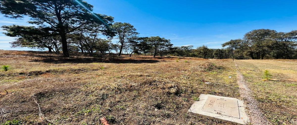 Foto de terreno habitacional en brecha , jardín real de mazamitla, mazamitla, jalisco, 0 foto 03 Foto de terreno habitacional en venta en brecha , jardín real de mazamitla, mazamitla, jalisco, 0 No. 03