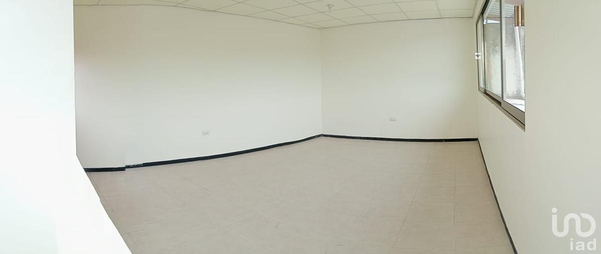 Foto de edificio en bremot 95, xalapa enríquez centro, xalapa, veracruz de ignacio de la llave, 28725270 foto 02 Foto de edificio en venta en bremot 95, xalapa enríquez centro, xalapa, veracruz de ignacio de la llave, 28725270 No. 02