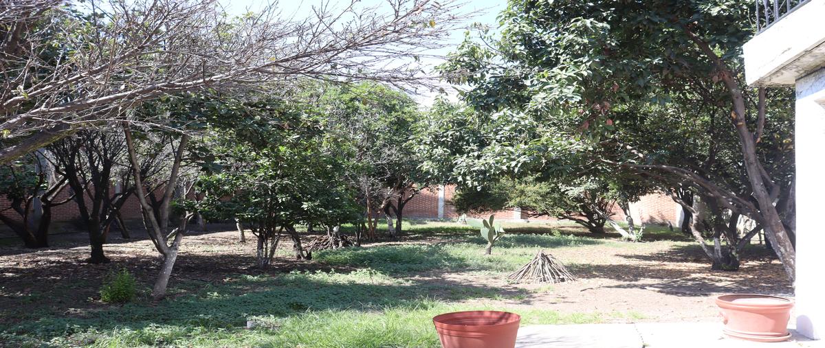 Foto de bodega en venta en breso , el tejocote, texcoco, méxico, 30807989 No. 04