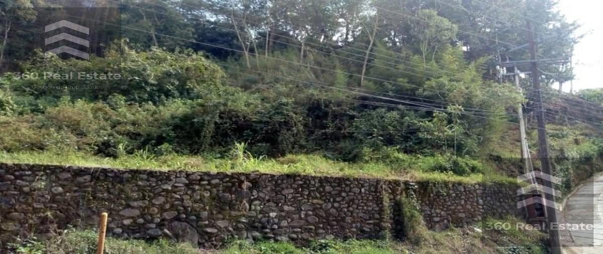 Foto de terreno habitacional en venta en  , briones, coatepec, veracruz de ignacio de la llave, 28936350 No. 03