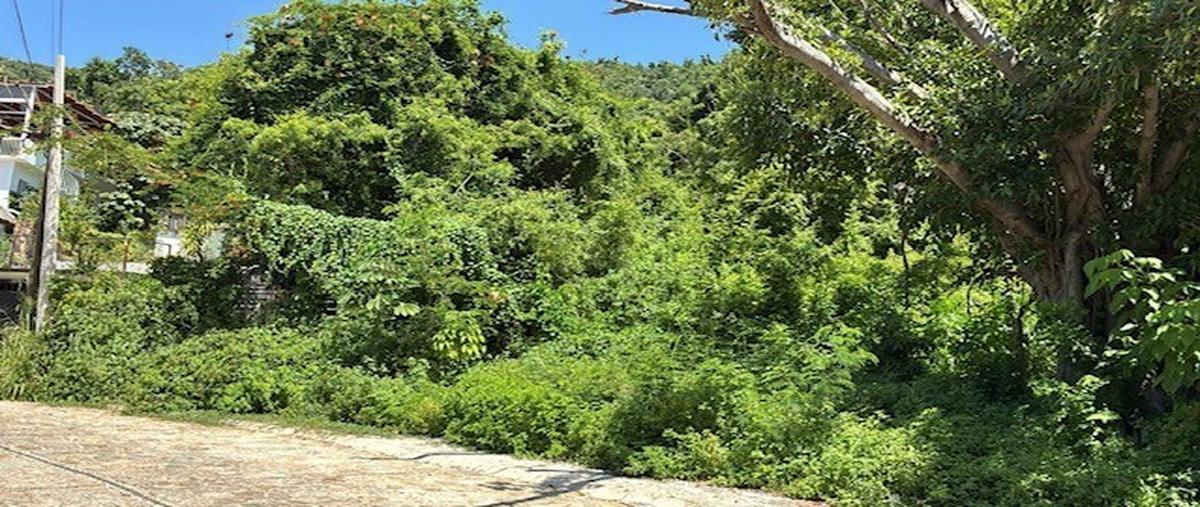 Foto de terreno habitacional en venta en  , brisamar, acapulco de juárez, guerrero, 0 No. 05