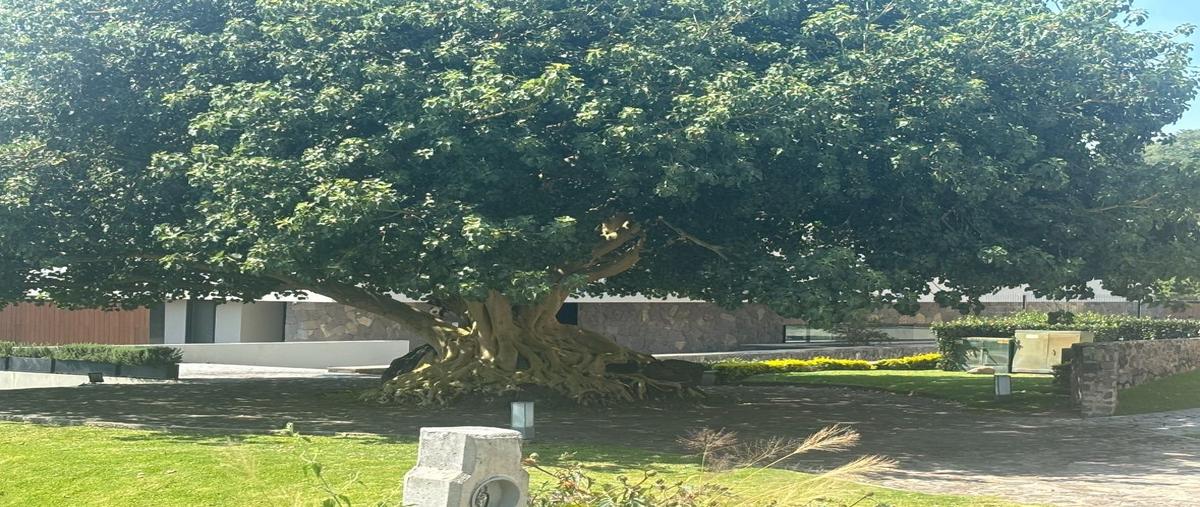 Foto de terreno habitacional en venta en  , brisas de chapala, chapala, jalisco, 0 No. 03