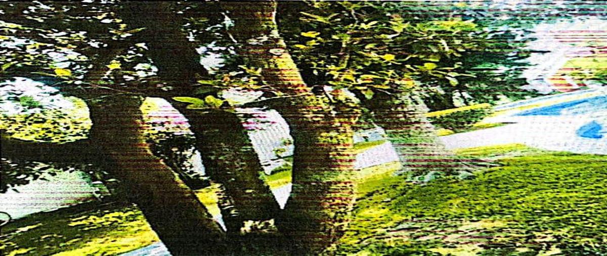 Foto de edificio en venta en  , brisas de cuautla, cuautla, morelos, 26729460 No. 03