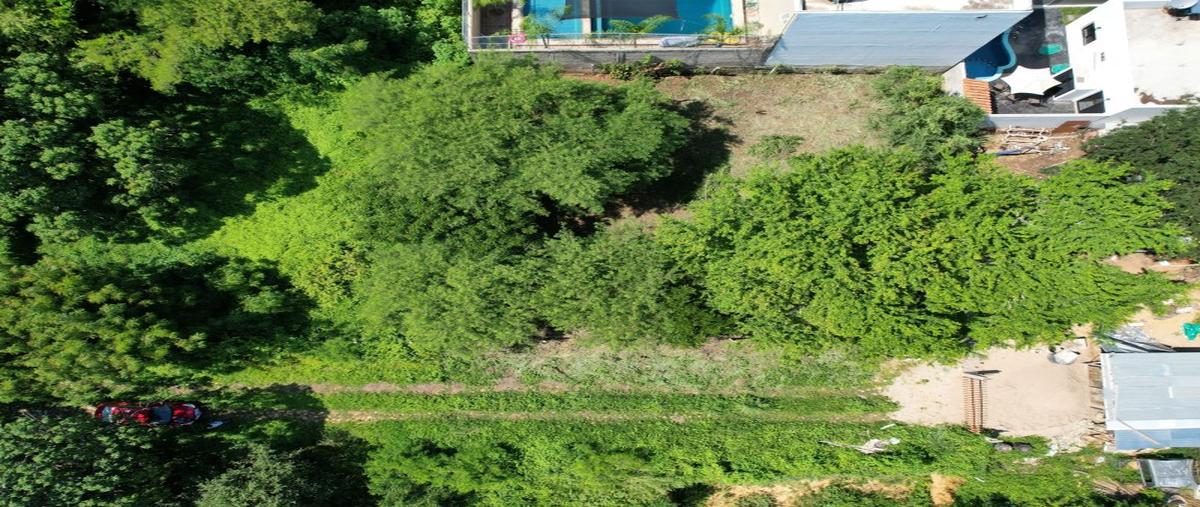 Foto de terreno habitacional en venta en  , brisas de zicatela, santa maría colotepec, oaxaca, 0 No. 05