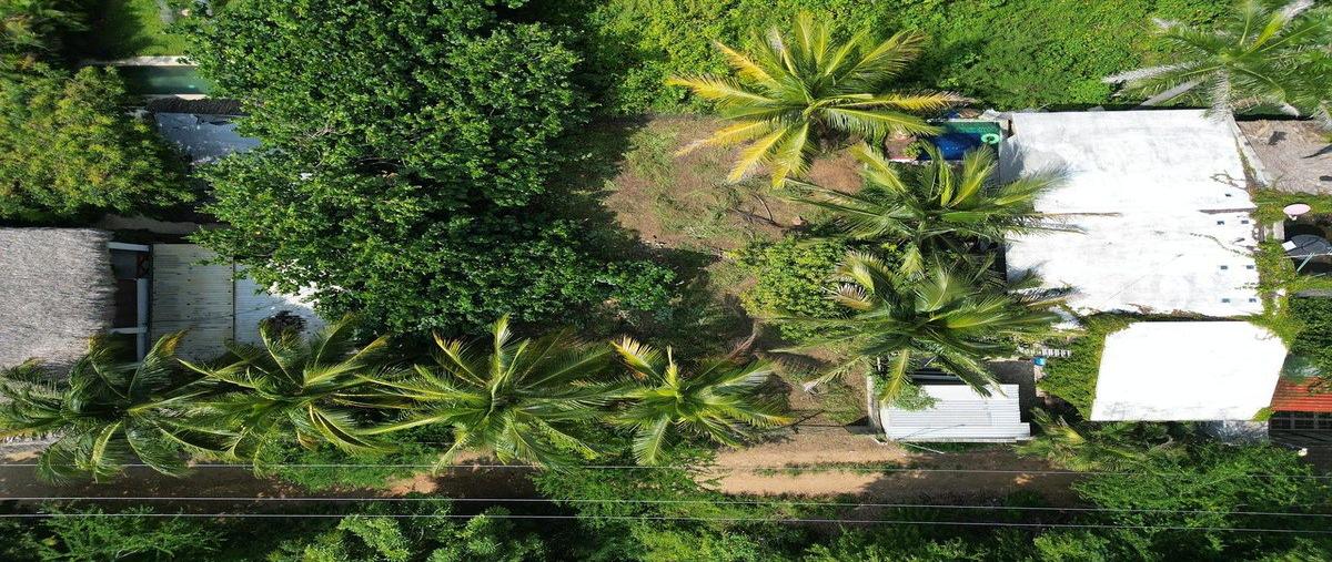 Foto de terreno habitacional en venta en  , brisas de zicatela, santa maría colotepec, oaxaca, 31054716 No. 04