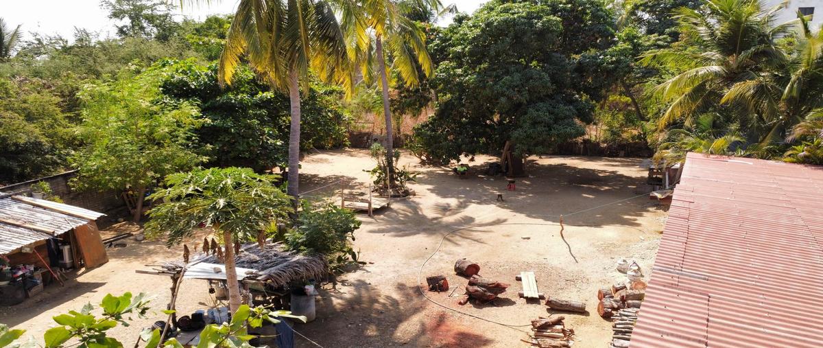 Foto de terreno habitacional en venta en  , brisas de zicatela, santa maría colotepec, oaxaca, 0 No. 05