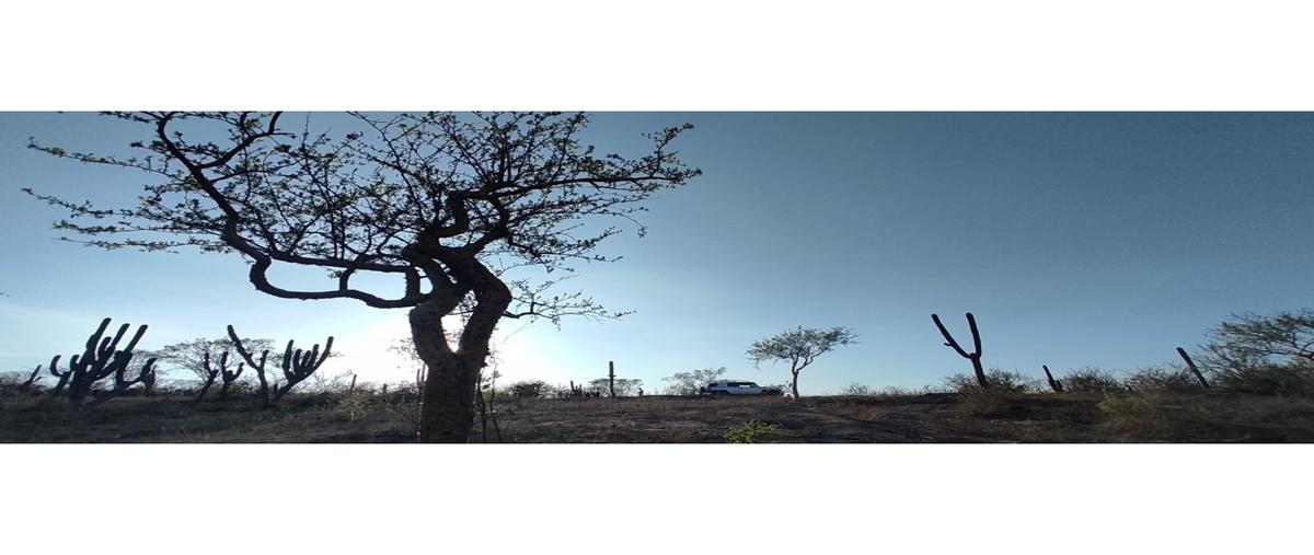 Foto de terreno habitacional en , brisas del pacifico, los cabos, baja california sur, 0 foto 01 Foto de terreno habitacional en venta en , brisas del pacifico, los cabos, baja california sur, 0 No. 01