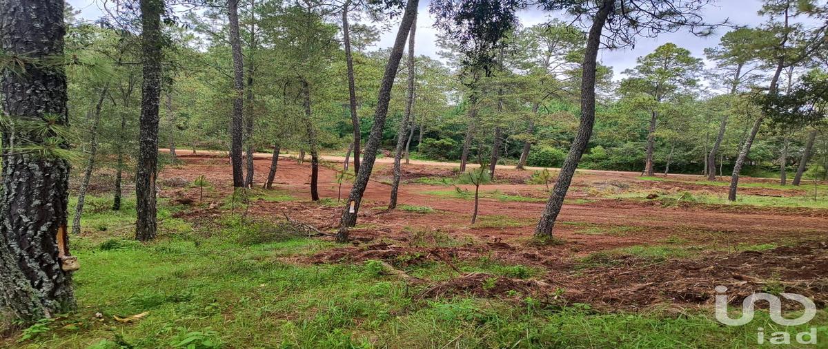 Foto de terreno habitacional en venta en brizuela 4894, atemajac de brizuela, atemajac de brizuela, jalisco, 31126632 No. 05