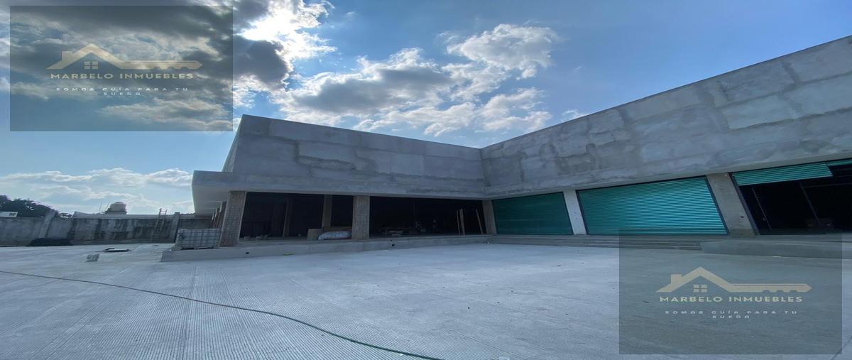 Foto de bodega en renta en  , bruno pagliai, veracruz, veracruz de ignacio de la llave, 30631522 No. 03