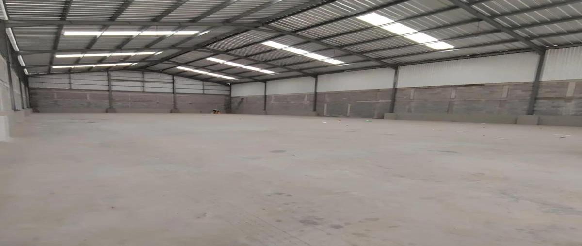 Foto de nave industrial en renta en  , bruno pagliai, veracruz, veracruz de ignacio de la llave, 31461174 No. 03