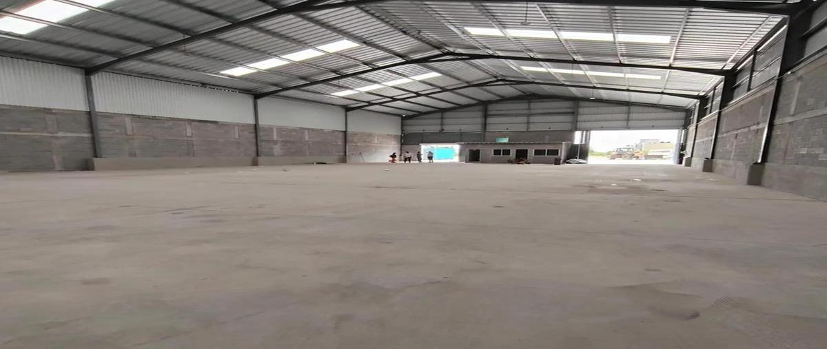 Foto de nave industrial en renta en  , bruno pagliai, veracruz, veracruz de ignacio de la llave, 31461174 No. 05
