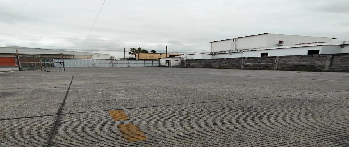 Foto de nave industrial en renta en  , bruno pagliai, veracruz, veracruz de ignacio de la llave, 31461181 No. 03