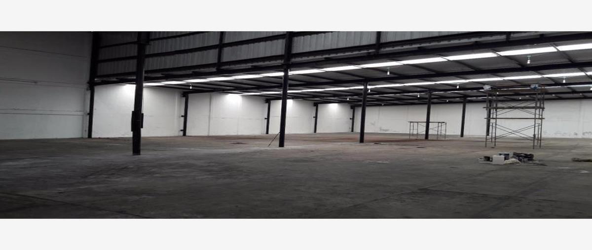 Foto de nave industrial en renta en  , bruno pagliai, veracruz, veracruz de ignacio de la llave, 0 No. 04