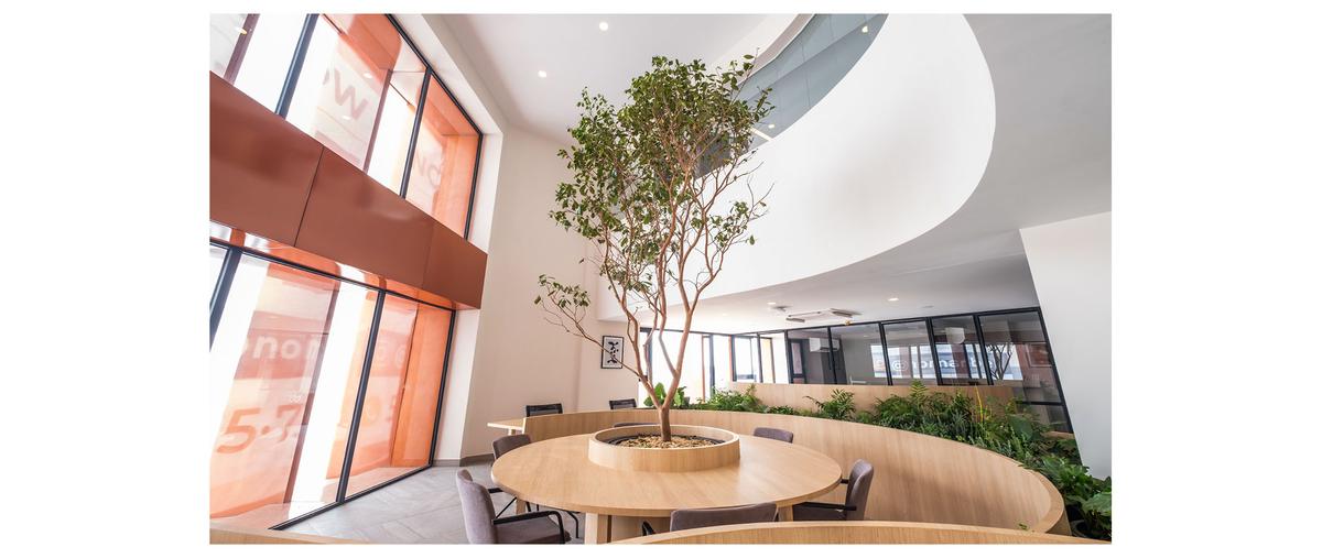 Foto de departamento en renta en bucareli 35, juárez, cuauhtémoc, df / cdmx, 0 No. 03