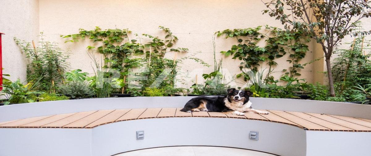 Foto de departamento en renta en bucareli , juárez, cuauhtémoc, df / cdmx, 0 No. 04