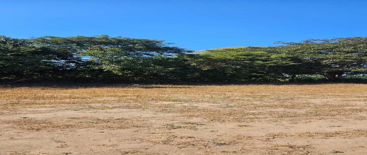 Foto de terreno habitacional en venta en bucerías , bucerías centro, bahía de banderas, nayarit, 29338829 No. 03