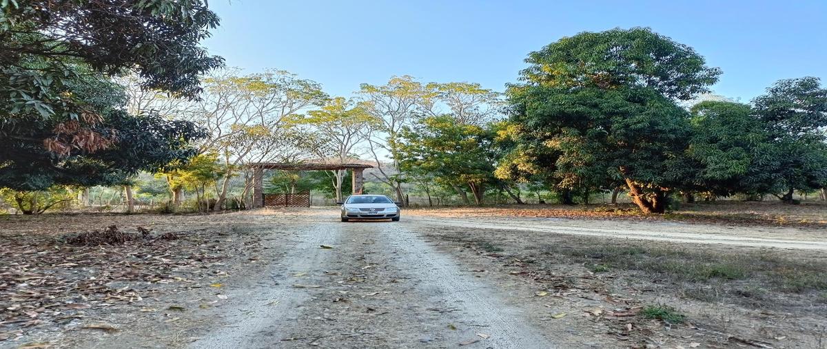 Foto de terreno habitacional en venta en  , bucerías centro, bahía de banderas, nayarit, 26384998 No. 03