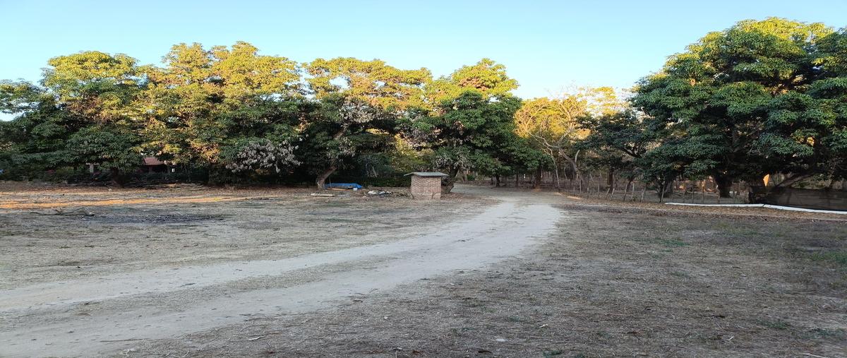 Foto de terreno habitacional en venta en  , bucerías centro, bahía de banderas, nayarit, 26384998 No. 04