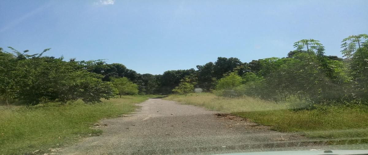 Foto de terreno habitacional en venta en  , bucerías centro, bahía de banderas, nayarit, 26384998 No. 05